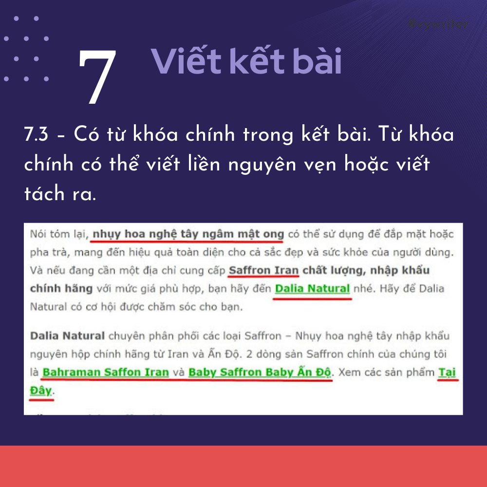 bai-viet-chuan-seo-16